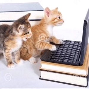 Meet your Posher, Ken